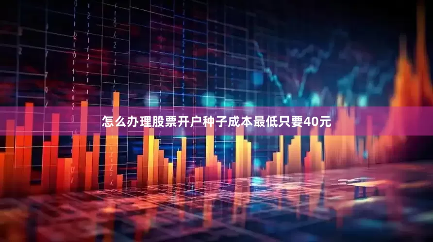 怎么办理股票开户种子成本最低只要40元